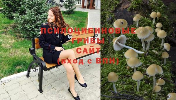 стафф Алексеевка