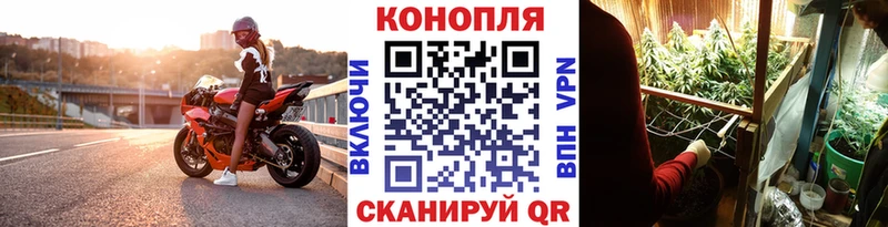 darknet Telegram  Полярные Зори  Каннабис OG Kush 